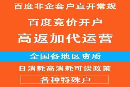 百度搜索引擎优化推广：成功案例揭秘